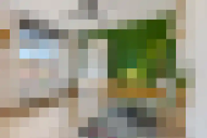 Enkalaan 157 Ede thumbnail 32