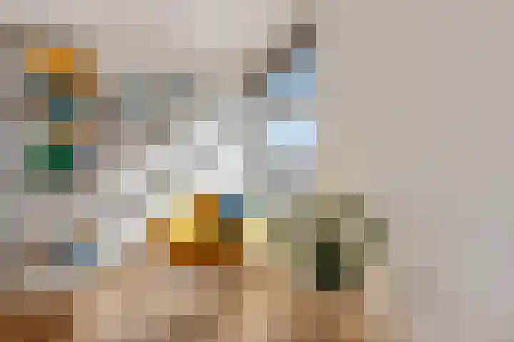 Enkalaan 157 Ede thumbnail 36