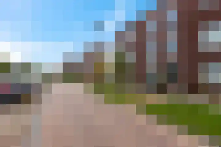 Enkalaan 157 Ede thumbnail 41