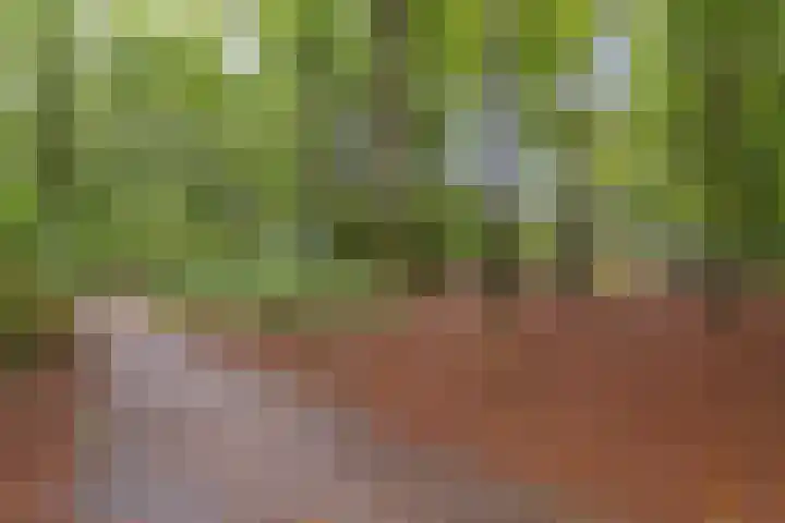 Enkalaan 157 Ede thumbnail 52