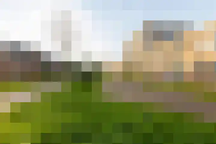 Enkalaan 181 Ede thumbnail 17