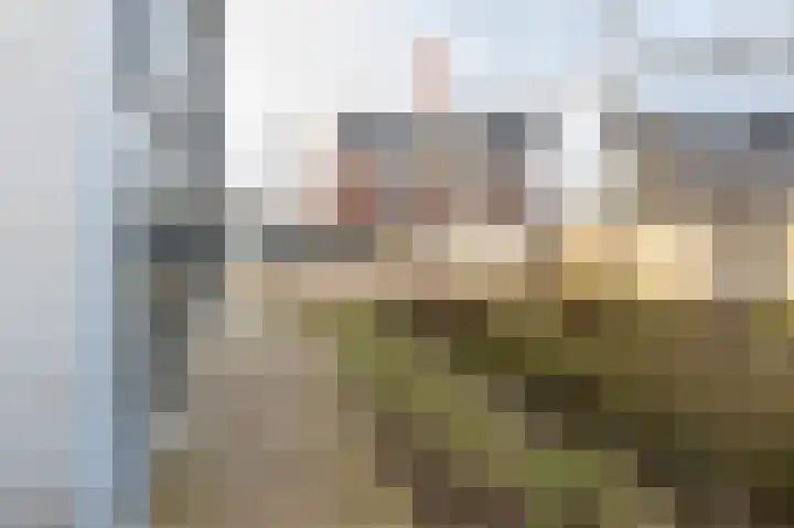 Enkalaan 181 Ede thumbnail 20