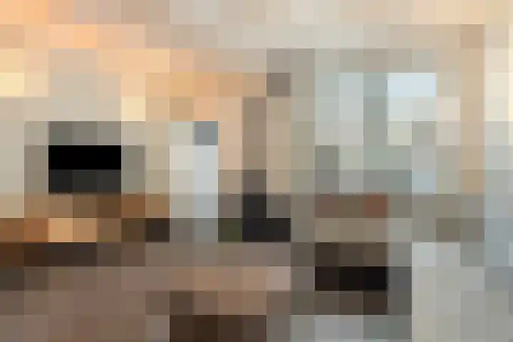 Enkele Ring 5 Sommelsdijk thumbnail 10