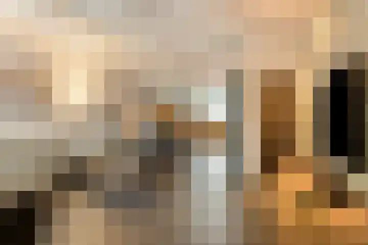 Enkele Ring 5 Sommelsdijk thumbnail 13