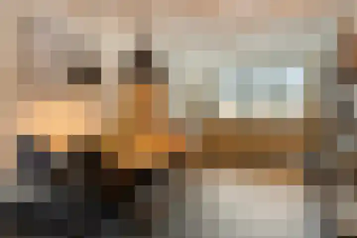 Enkele Ring 5 Sommelsdijk thumbnail 14