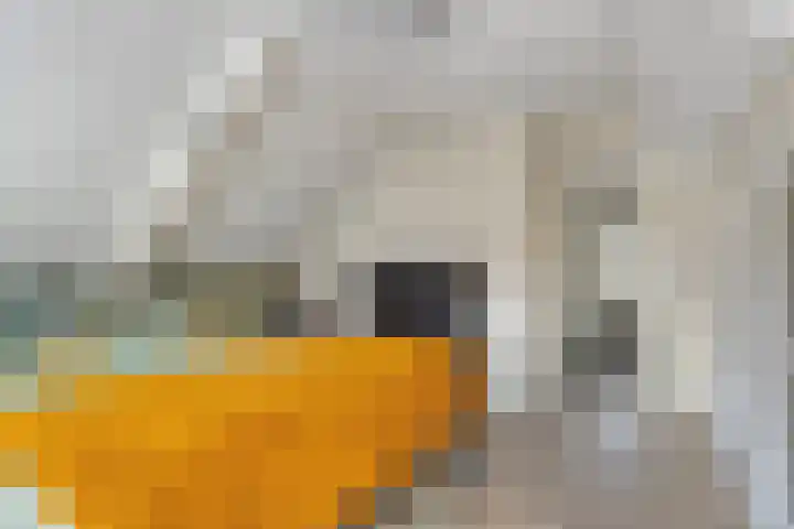 Enkele Ring 5 Sommelsdijk thumbnail 25