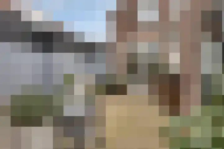 Enkele Ring 5 Sommelsdijk thumbnail 31