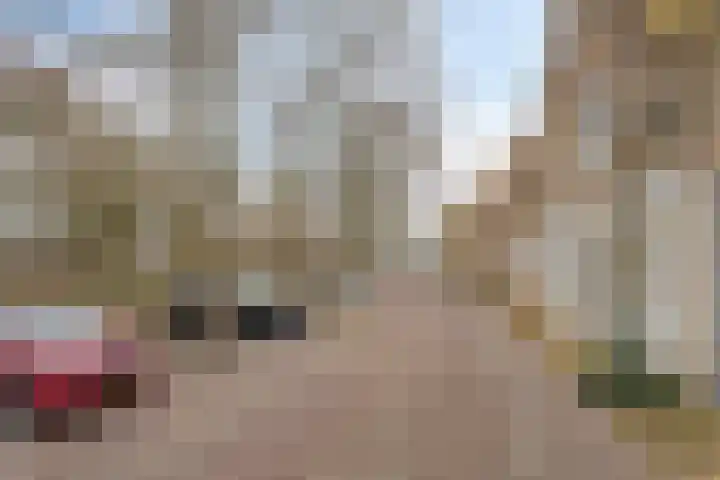 Enkele Ring 5 Sommelsdijk thumbnail 37