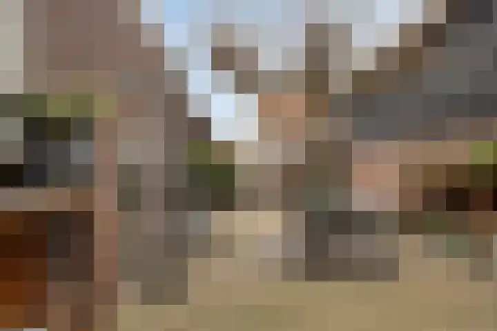 Enkele Ring 5 Sommelsdijk thumbnail 4