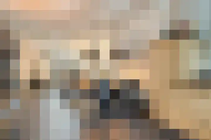 Enkele Ring 5 Sommelsdijk thumbnail 8