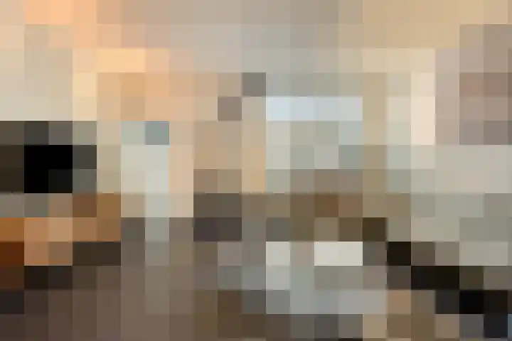 Enkele Ring 5 Sommelsdijk thumbnail 9