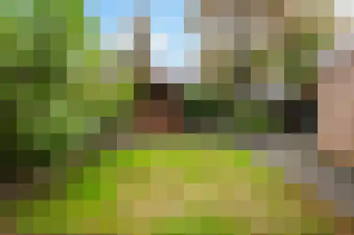 Enklaan 20 Bathmen thumbnail 28