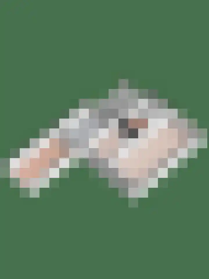 Enklaan 20 Bathmen thumbnail 32