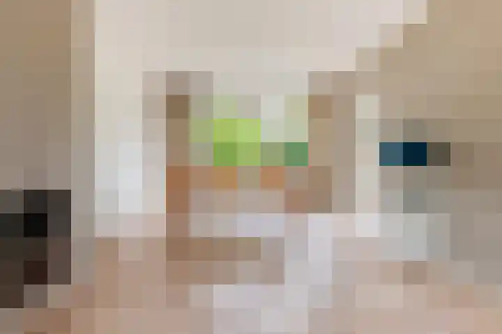 Enklaan 20 Bathmen thumbnail 6
