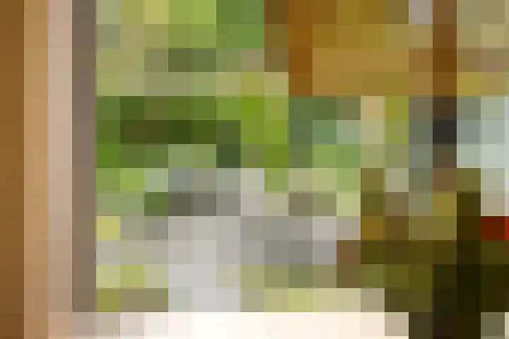 Enklaan 31 Bathmen thumbnail 13
