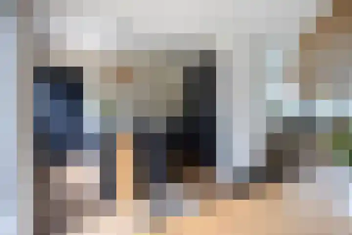 Enklaan 31 Bathmen thumbnail 15