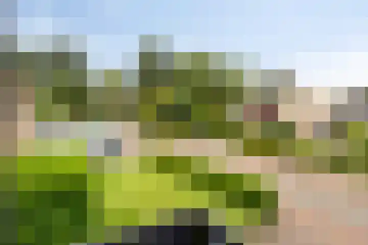 Enklaan 31 Bathmen thumbnail 23