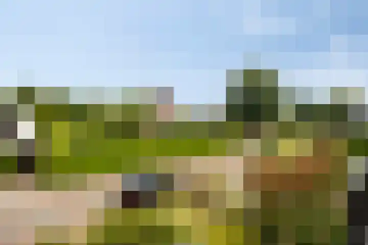 Enklaan 31 Bathmen thumbnail 24