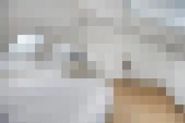 Enklaan 31 Bathmen thumbnail 32