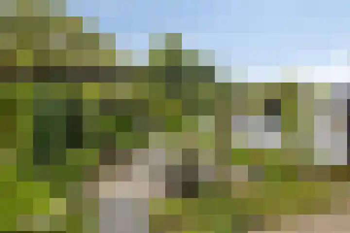 Enklaan 31 Bathmen thumbnail 33
