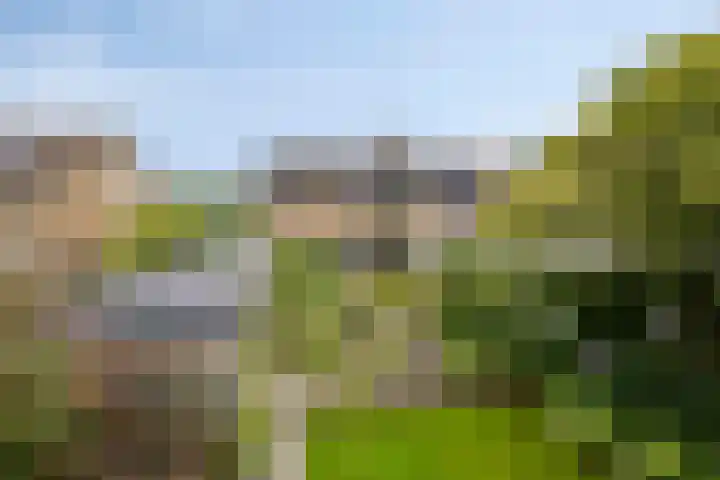 Enklaan 31 Bathmen thumbnail 38