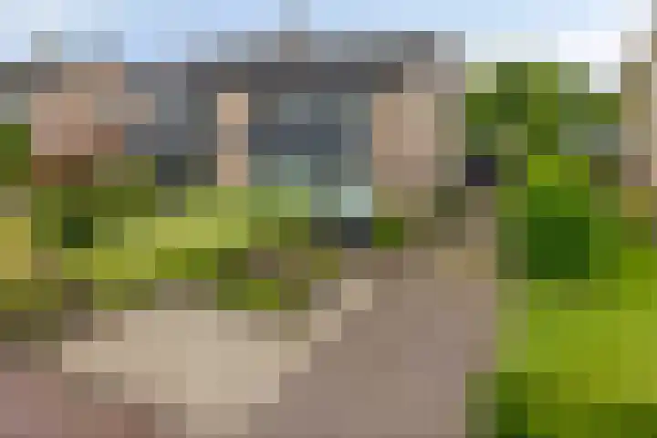 Enklaan 31 Bathmen thumbnail 47