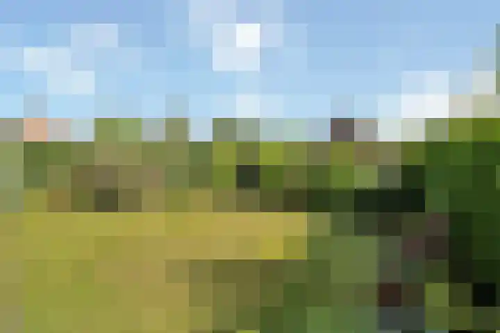 Enkstraat 43 Raalte thumbnail 27