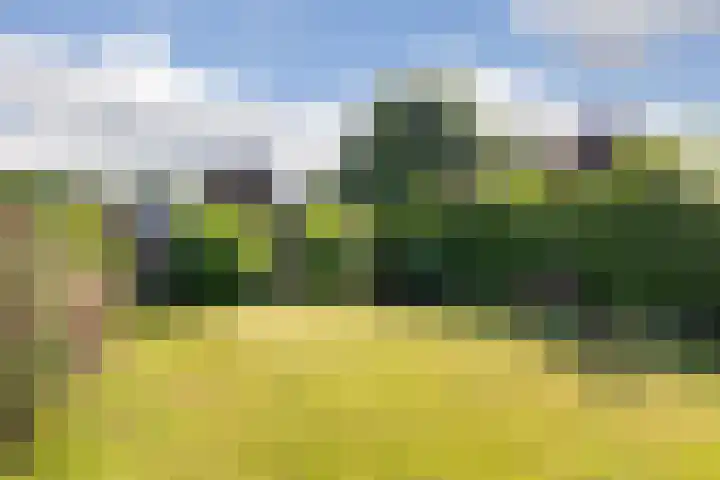 Enkstraat 43 Raalte thumbnail 28