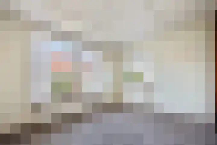 Enkstraat 43 Raalte thumbnail 6