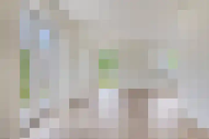 Enkweg 1 Epe foto 2