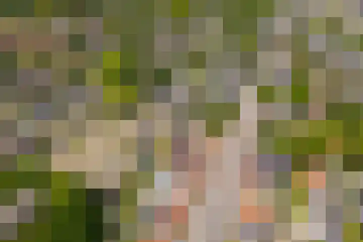 Enkweg 1 Epe thumbnail 37