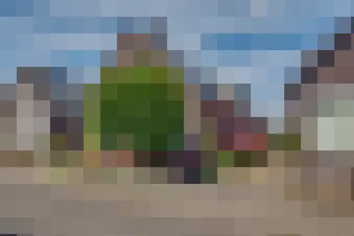 Enkweg 16 Dieren