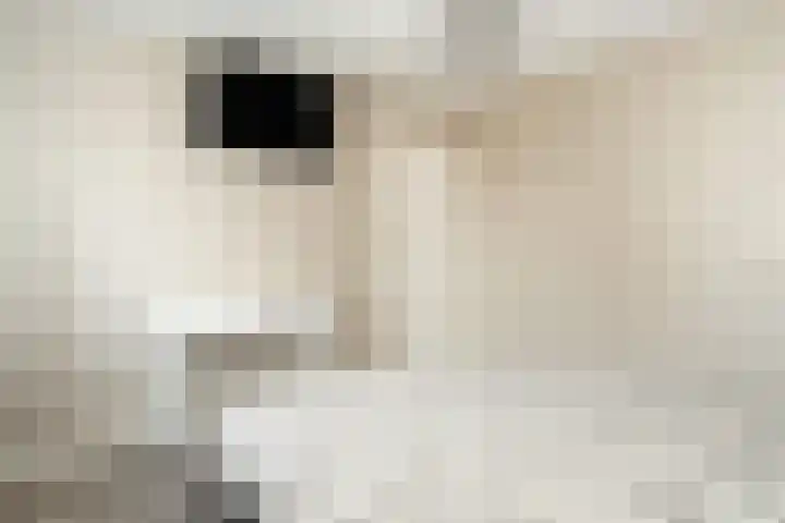 Enkweg 18 Epe thumbnail 16