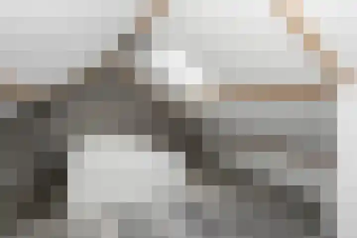 Enkweg 18 Epe thumbnail 21