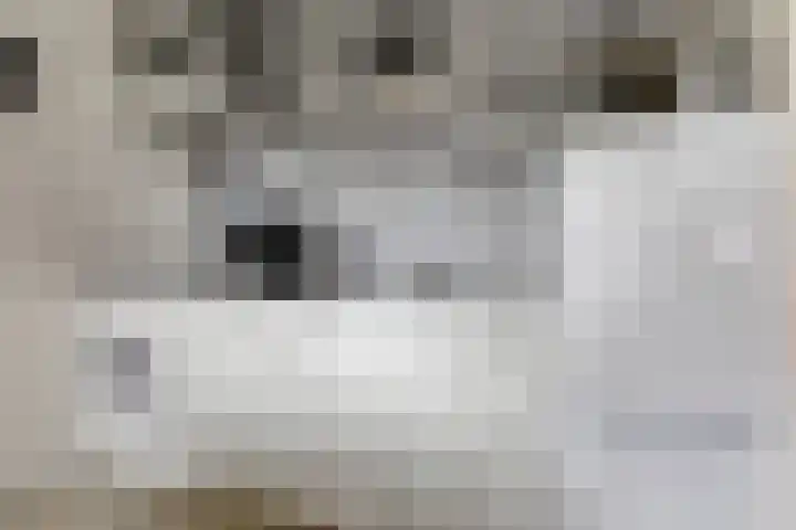 Enkweg 2 Hattem thumbnail 29