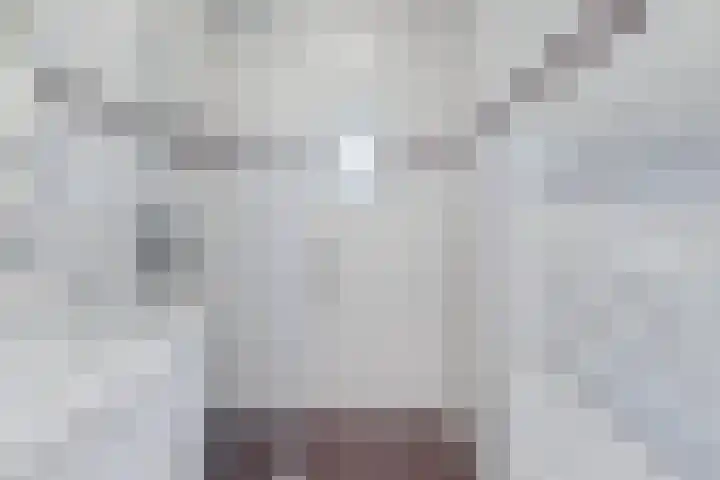 Enkweg 2 Hattem thumbnail 34