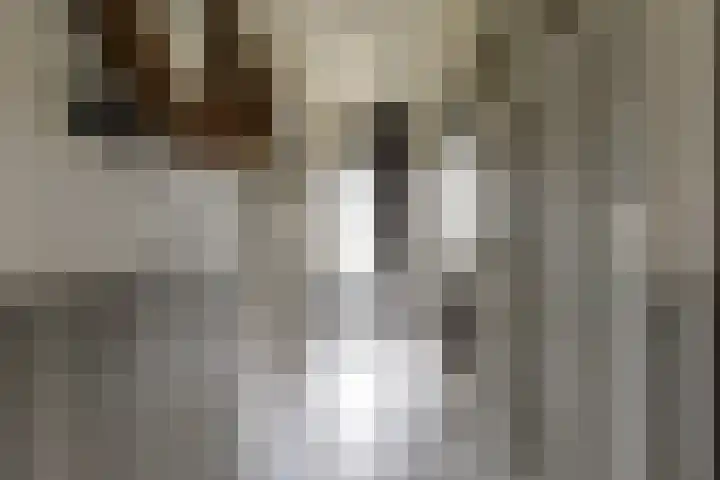 Enkweg 2 Hattem thumbnail 4