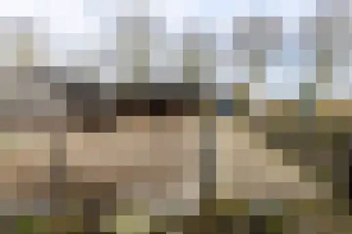 Enkweg 2 Hattem thumbnail 40