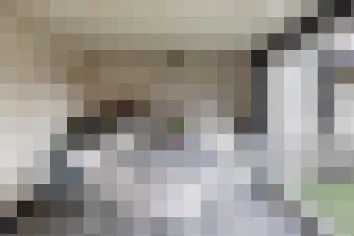 Enkweg 2 Hattem thumbnail 45