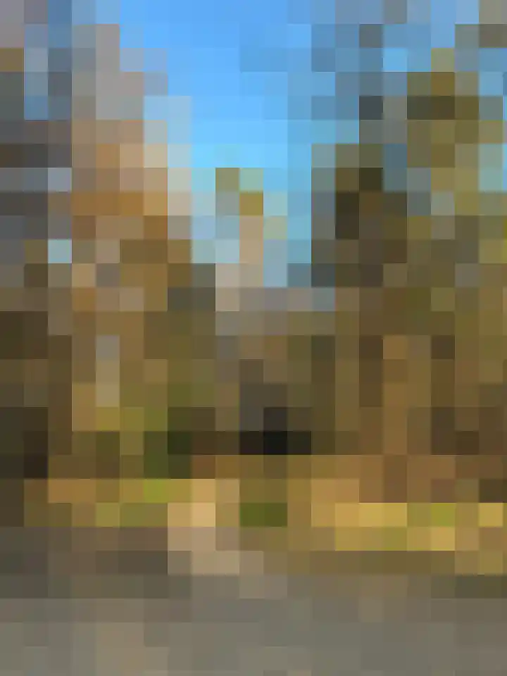 Enkweg 32 Velp thumbnail 48