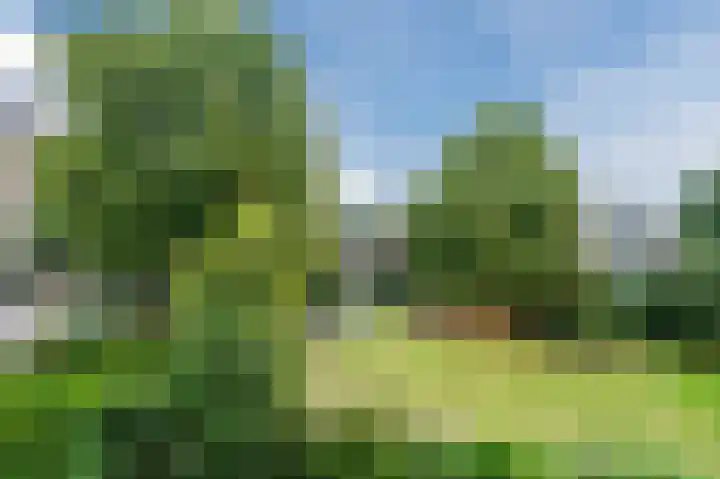 Ennemaborg 13 Amsterdam thumbnail 23