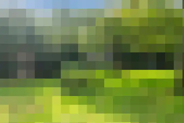 Ennemaborg 13 Amsterdam thumbnail 24