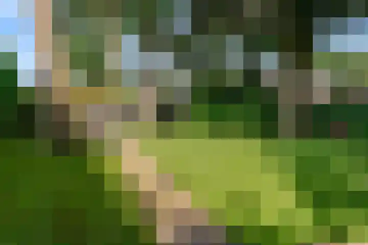 Ensahlaan 1 Bilthoven thumbnail 33
