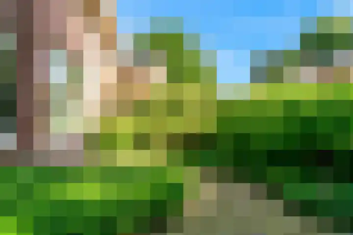 Ensahlaan 1 Bilthoven thumbnail 39