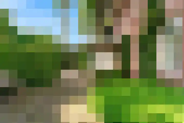 Ensahlaan 1 Bilthoven thumbnail 40