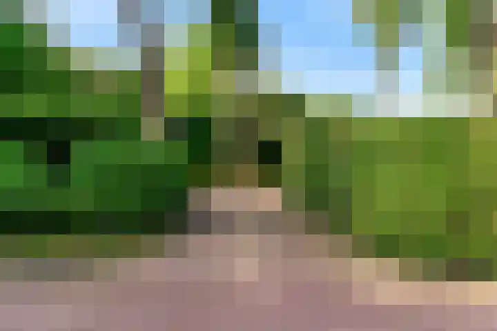 Ensahlaan 1 Bilthoven thumbnail 43