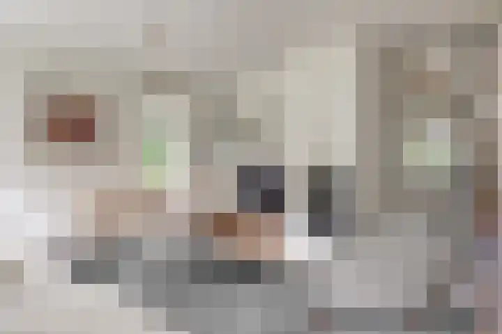 Ensahlaan 1 Bilthoven thumbnail 8