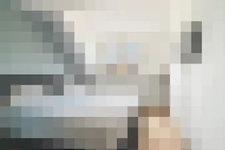 Enterij 12 Limmen thumbnail 19