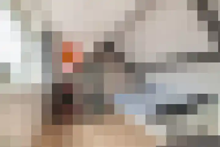 Enterij 12 Limmen thumbnail 28