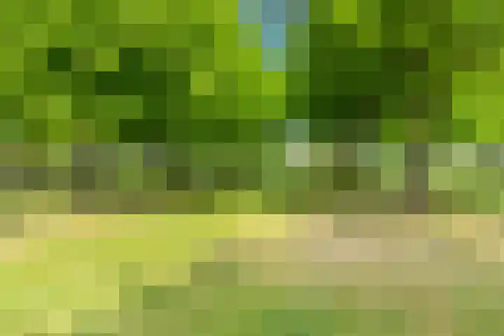 Enterij 12 Limmen thumbnail 39